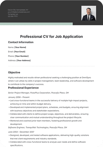Modern CV